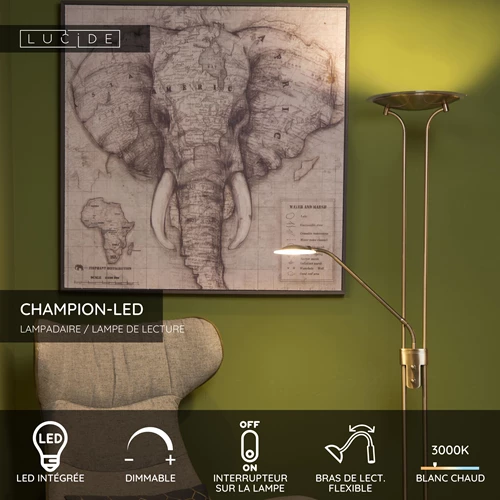 Lucide CHAMPION-LED - Lampadaire / lampe de lecture - LED Dim. - 3000K - Bronze - USP